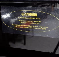 Occasion, Yamaha, U1A