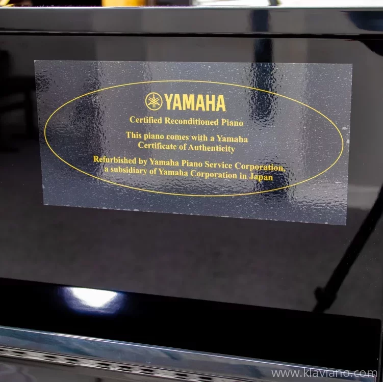 Används, Yamaha, U1
