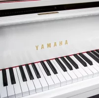 Used, Yamaha, G2