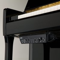 Neu, Kawai, K-300 AURES