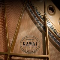 Nieuw, Kawai, GL-10
