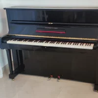 Occasion, Steinway & Sons, Z-115
