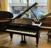 Bosendorfer 170vc - master grand piano 170 cm