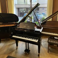 Bosendorfer 170vc - master grand piano 170 cm