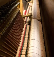 Occasion, Steinway & Sons, Z-115