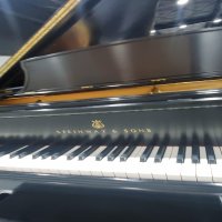 Used, Steinway & Sons, B-211