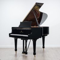 Används, Steinway & Sons, B-211