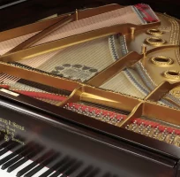 Usato, Steinway & Sons, A1