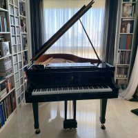 Används, Steinway & Sons, M-170