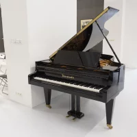 Usado, Bosendorfer, 190