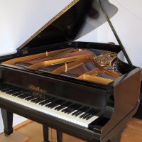 Used, Bluthner, 6 (190)