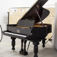 Steinway & Sons Model A 188cm - Fully Restored / Sap index  10480