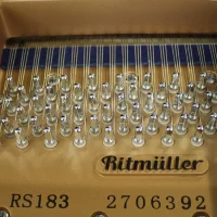 Nowy, Ritmüller, RS 183