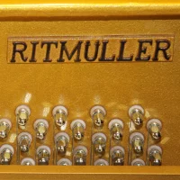 Nieuw, Ritmüller, EU 110