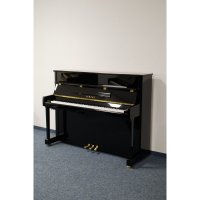 Gebraucht, Yamaha, P116 SH2