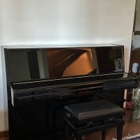 Gebraucht, Yamaha, M1