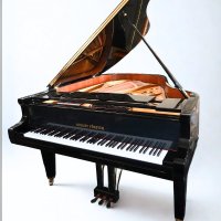 Usado, August Forster, 190