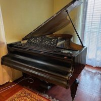 Usato, Petrof, Altro