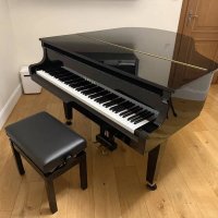 Używany, Yamaha, GP1