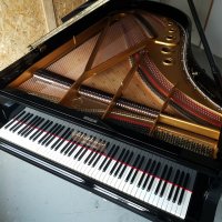 Used, Bluthner, Style 9