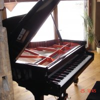 Används, Wendl & Lung, Professional II (178)