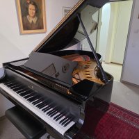 Used, Steinway & Sons, M-170