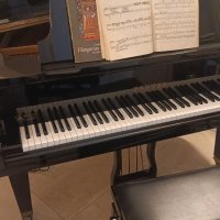 Används, Pleyel, F170