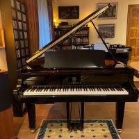 Neu, Yamaha, C3X TA2