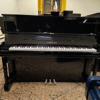 Occasion, Yamaha, YU1