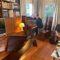 Gebraucht, Rippen, Maestro (Art Deco)