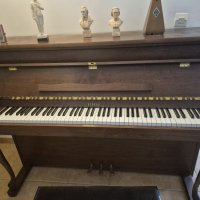 Gebruikte, Rippen, Mignon (105)