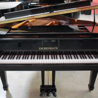 Nya, Andra varumärken