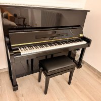 Gebruikte, Kawai, BL-12