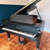 Usato, Schimmel, Altro