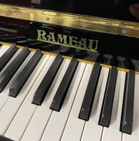 Usato, Rameau, 115