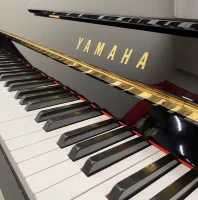 Gebraucht, Yamaha, LU101