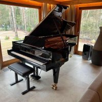 Usato, Bosendorfer, 280VC