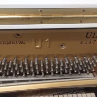 Usato, Yamaha, U1A