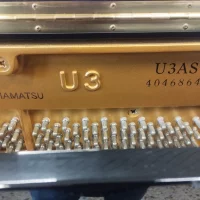 Usado, Yamaha, U3