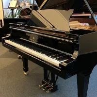 Occasion, Steinway & Sons