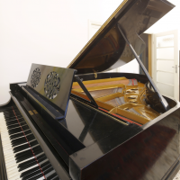 Occasion, Steinway & Sons, Autre
