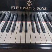 Används, Steinway & Sons, S-155