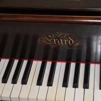 Usato, Erard, Concert