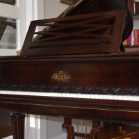 Usato, Erard, Concert