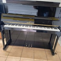 Usado, Seiler, 122 Ritmo