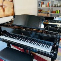 Används, Steingraeber & Söhne, A-170