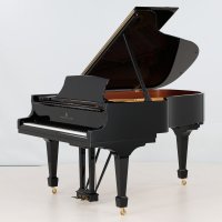Occasion, Steinway & Sons, A-188