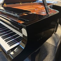 Occasion, Yamaha, C7X