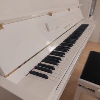 Used, Yamaha, b1 SC3