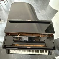 Usato, Steinway & Sons, B-211